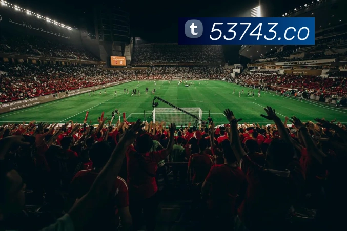 奖项证书